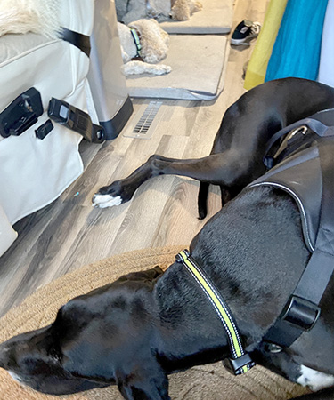 Gamble Family Adventures and Travel Blog | Living on a Bus