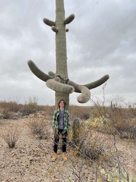 saguaro national park